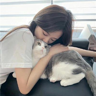 科索沃战役